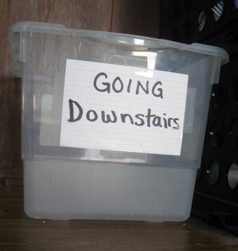 downstairs box