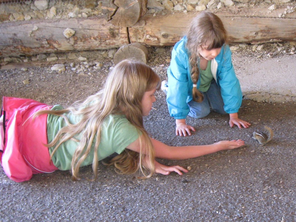 chipmunks Girls feeding chipmunks