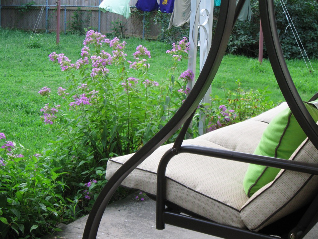 back porch My beloved back porch