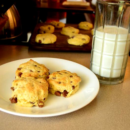 Chocolate Chip Scones - yummy treat for breakfast, snack, church social or just because! | RaisingArrows.net
