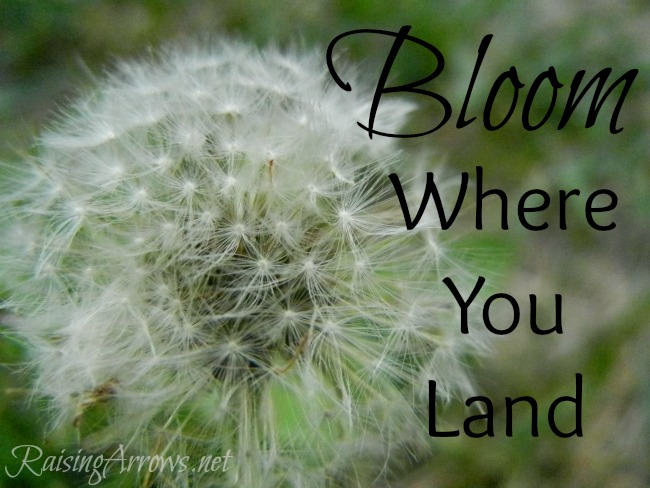 Bloom Where You Land | RaisingArrows.net