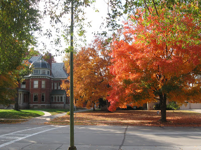 autumn
