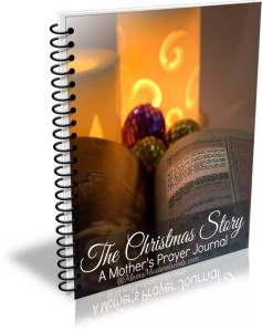 Christmas-Story-Prayer-Journal-Cover--2
