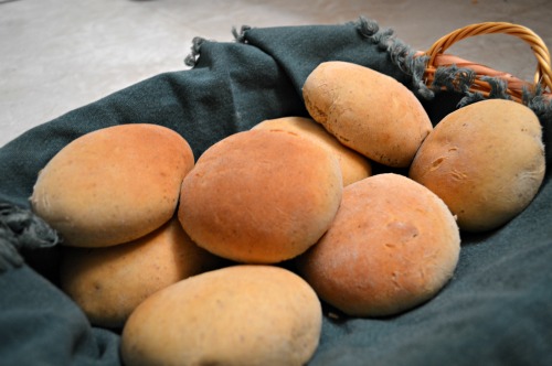Homemade Whole Wheat Rolls/Buns that are Quick and Tasty! | RaisingArrows.net