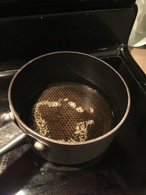 Garlic Oil for earaches - you can make your own! | RaisingArrows.net