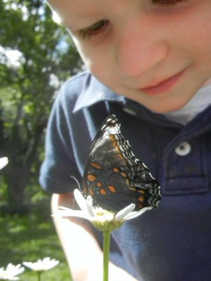 Micah observing a butterfly