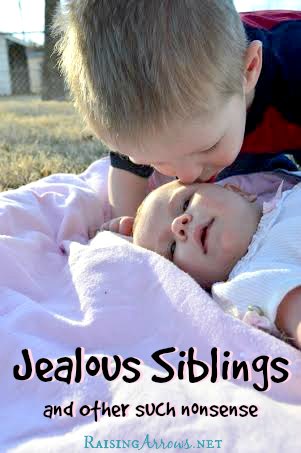 Jealous Siblings & Other Such Nonsense - the answer to what's really behind it from a mom of 9 | RaisingArrows.net
