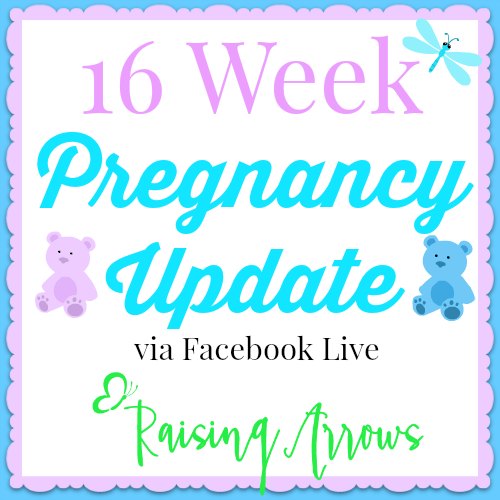 16 Week Pregnancy Update (Something New!)