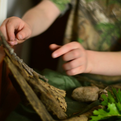 Creating a Nature Table - a simple homeschool nature study solution!