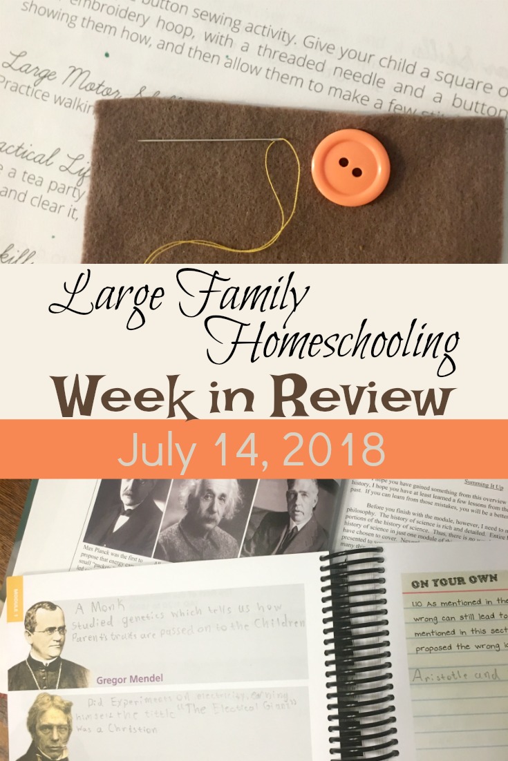 Homeschooling in a large family has its challenges! Visit our homeschool this week to see how we do it!