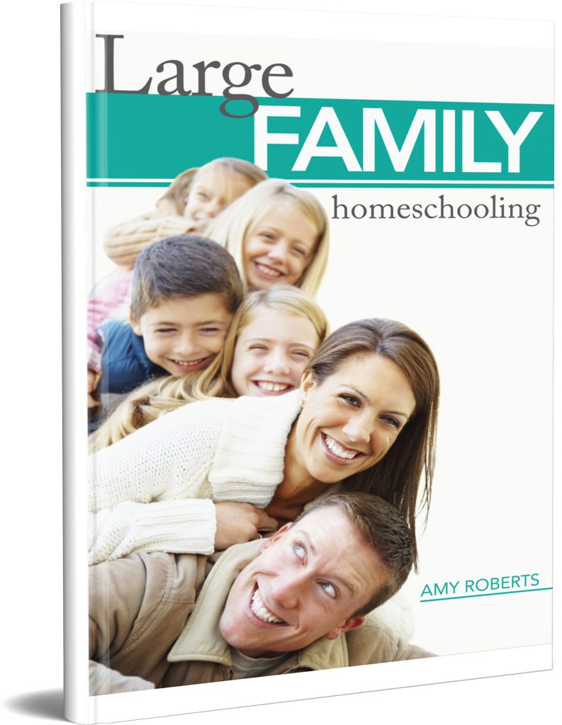 Large Family Homeschooling