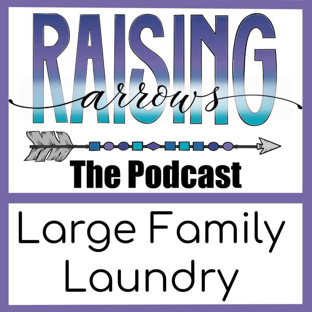Laundry is a part of our everyday existence, especially in a large family!  Learn the secrets of our daily laundry chores!