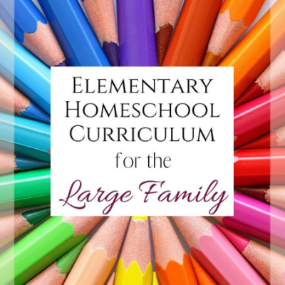 Elementary Homeschool Curriculum Picks for the Large Family