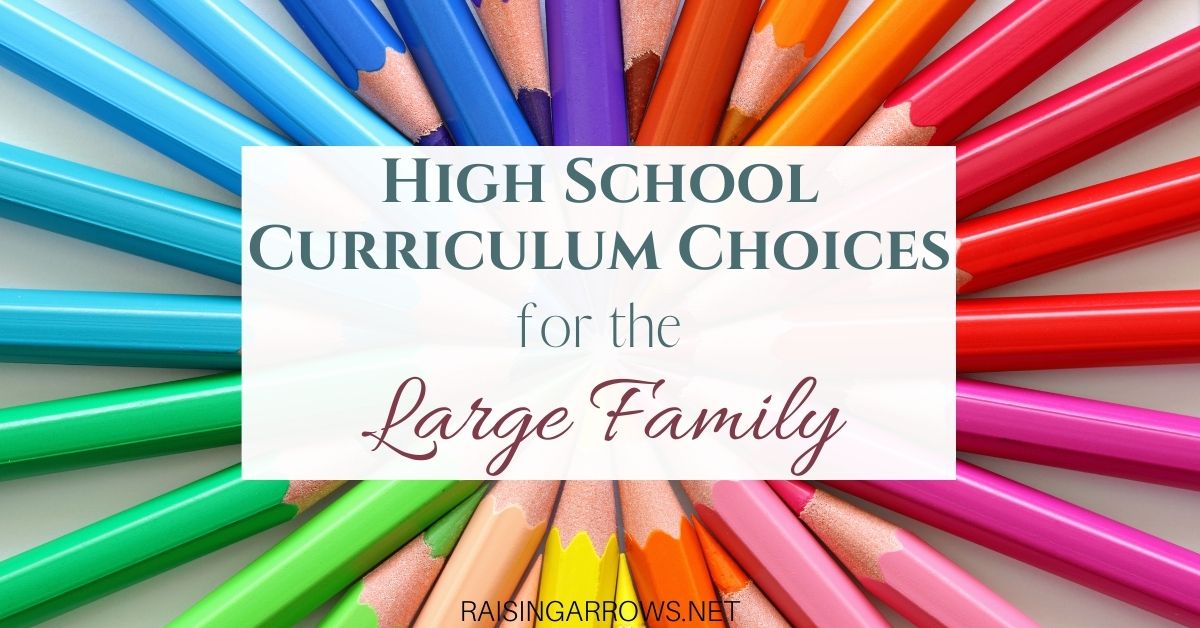 High School Homeschool Curriculum for the Large Family