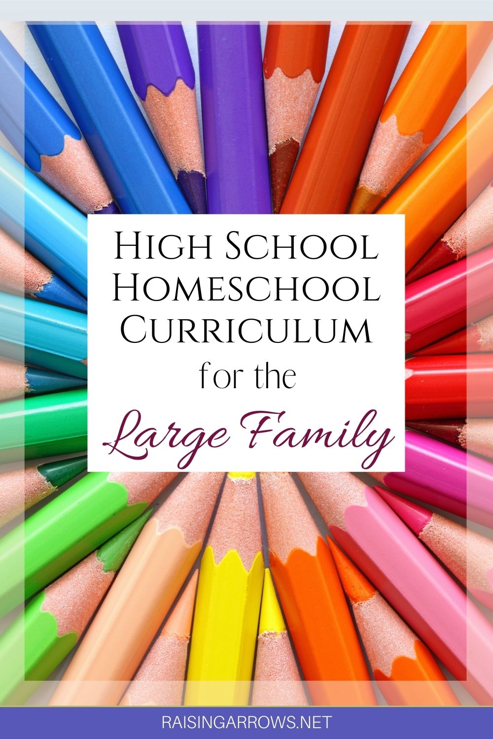 High School Homeschool Curriculum for the Large Family