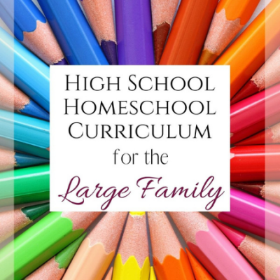 High School Homeschool Curriculum for the Large Family