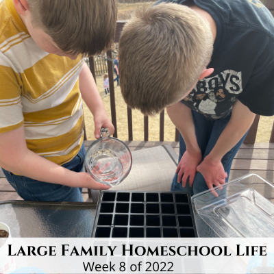 Large Family Homeschool Life – Week 8 of 2022