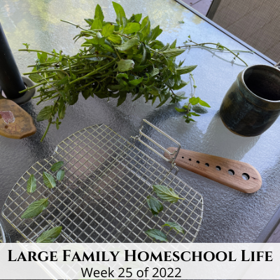 Large Family Homeschool Life – Week 25 of 2022