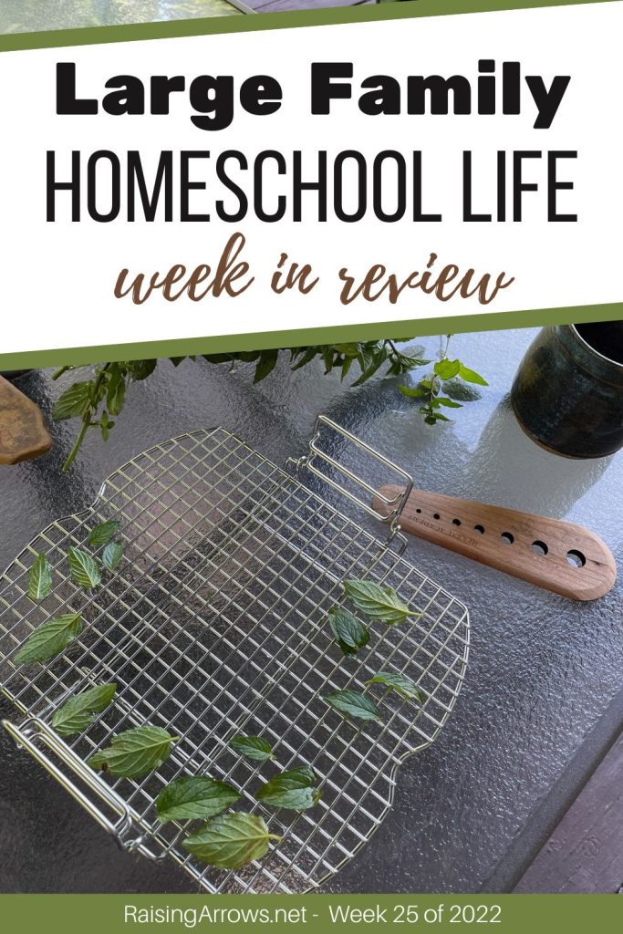 After taking a break from homeschooling, we are back at it this summer!  Here's what week 25 of 2022 looks like!