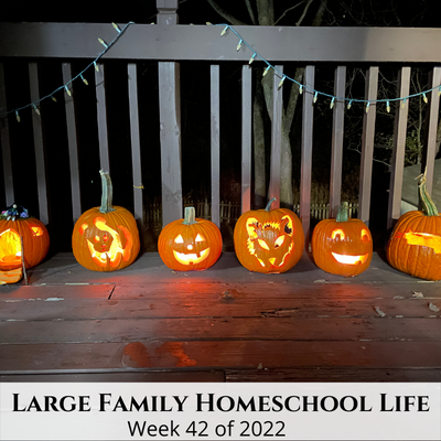 Large Family Homeschool Life – Week 42 of 2022