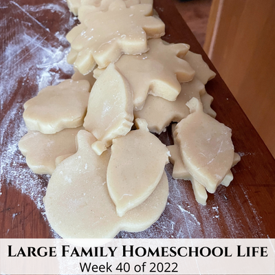 Large Family Homeschool Life – Week 40 of 2022
