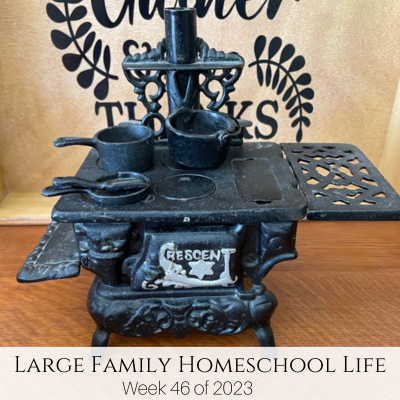 Large Family Homeschool Life – Week 46 of 2023