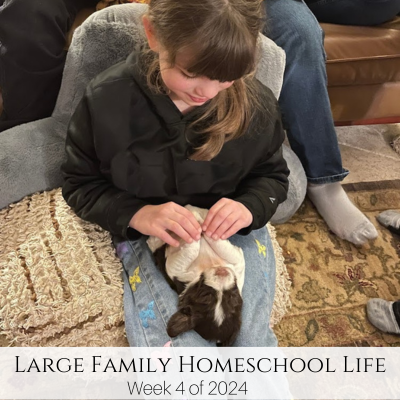 Large Family Homeschool Life – Week 4 of 2024