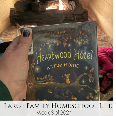 Large Family Homeschool Life – Week 3 of 2024