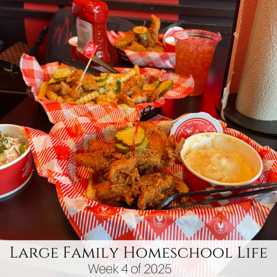 Large Family Homeschool Life – Week 4 of 2025