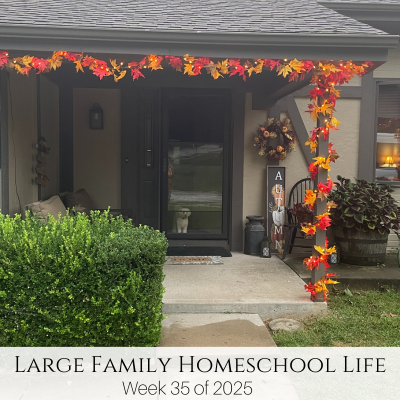 Large Family Homeschool Life – Week 35 of 2025