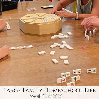 Large Family Homeschool Life – Week 32 of 2025