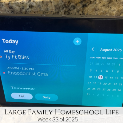 Large Family Homeschool Life – Week 33 of 2025