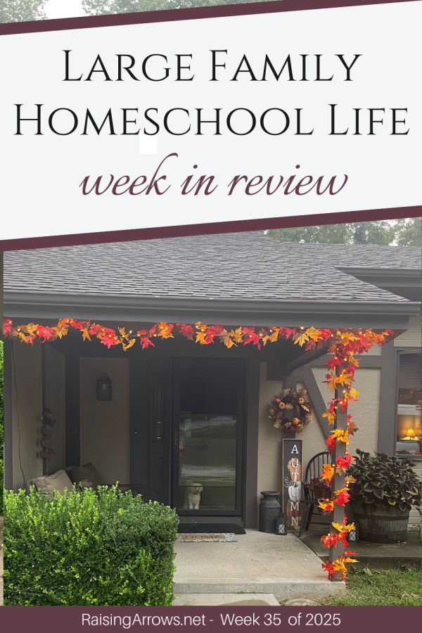 Large Family Homeschool Life - Week 35 of 2025