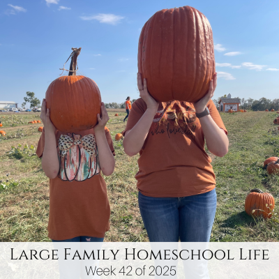 Large Family Homeschool Life – Week 42 of 2025