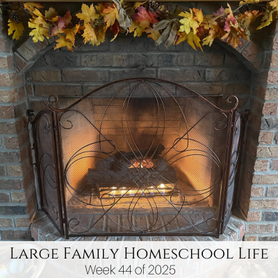 Large Family Homeschool Life – Week 44 of 2025