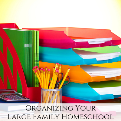 Organizing the Large Family Homeschool